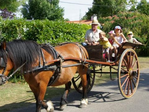 Camping Aux Coeurs Vendeens Camping Aux Coeurs Vendeens - Camping Vendée - Image N°47