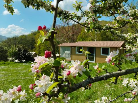 CHALET 4 personnes - Chalet Standard 28m² - 2 chambres - terrasse couverte