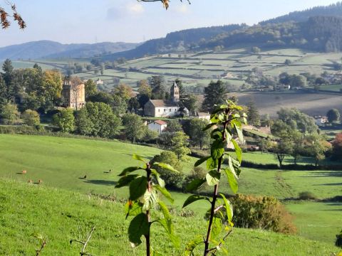 CHALET 4 personnes - Chalet Tradition Standard 28m² - 2 chambres - terrasse couverte