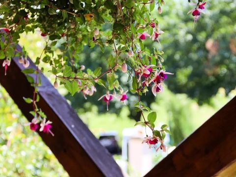 Camping Lac de Saint-Point Lamartine - Camping Doubs - Image N°19