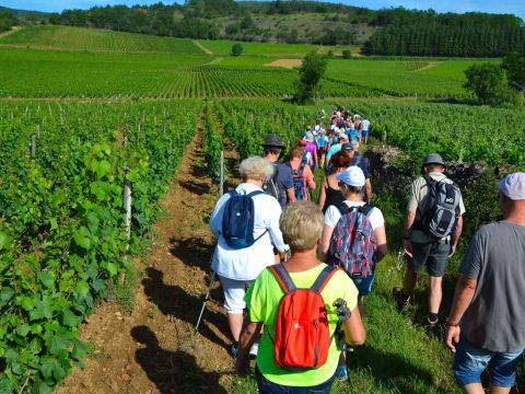 Camping Lac de Saint-Point Lamartine - Camping Doubs - Image N°18