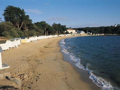 Camping Le Petit Bois - Camping Vendée - Image N°24