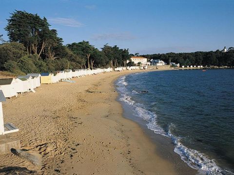 Camping Le Petit Bois - Camping Vendée - Image N°32