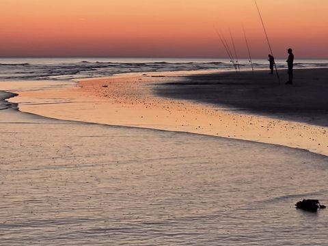 Camping Le Petit Bois - Camping Vendée