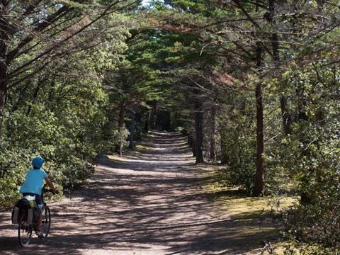 Camping Le Petit Bois - Camping Vendée - Image N°3