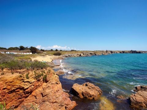 Camping Le Petit Bois - Camping Vendée - Image N°5