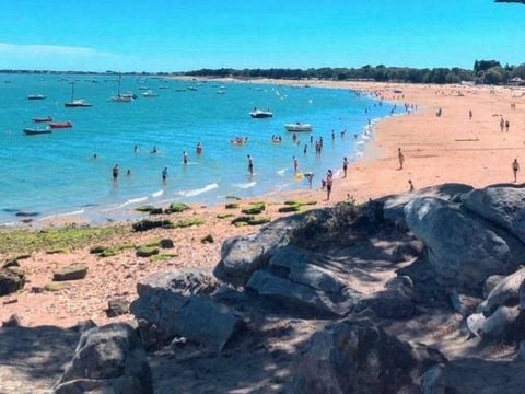 Camping Le Petit Bois - Camping Vendée - Image N°23