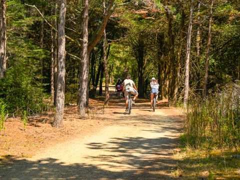 Camping Le Pont D'yeu - Camping Vendée - Image N°61