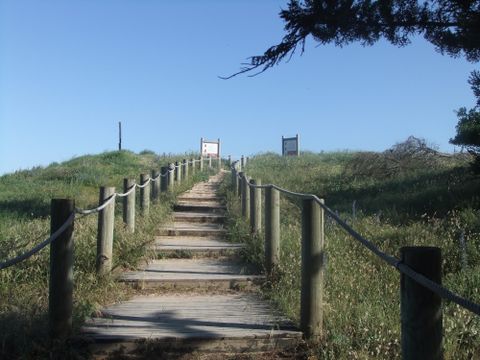 Camping Le Pont D'yeu - Camping Vendée - Image N°79