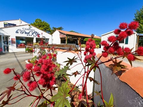 Camping Le Pont D'yeu - Camping Vendée