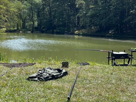 Camping Les Petites Minaudieres - Camping Vienne - Image N°30