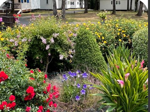 Camping Les Petites Minaudieres - Camping Vienne - Image N°27