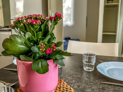 MOBILHOME 4 personnes - Ibiza 2 chambres avec terrasse