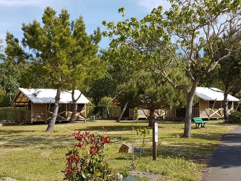 TENTE TOILE ET BOIS 4 personnes - Lodge cambodgia 2 chambres