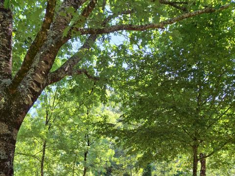 Camping la Vallée de Poupet - Camping Vendée - Image N°22