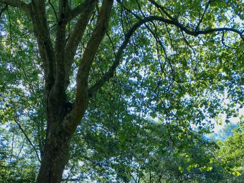 Camping la Vallée de Poupet - Camping Vendée - Image N°19