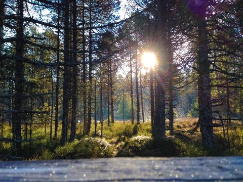 Camping de La Forêt - Camping Doubs - Image N°66