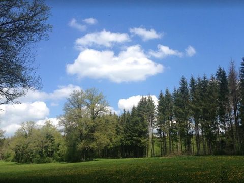 Camping de La Forêt - Camping Doubs - Image N°23