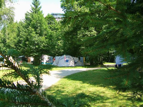 Camping de La Forêt - Camping Doubs - Image N°8