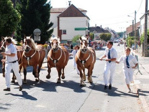 Camping de La Forêt - Camping Doubs - Image N°21