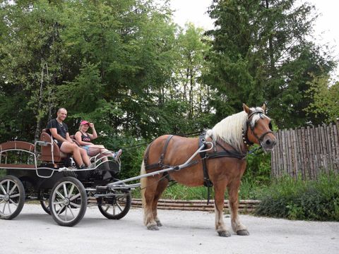Camping de La Forêt - Camping Doubs - Image N°75