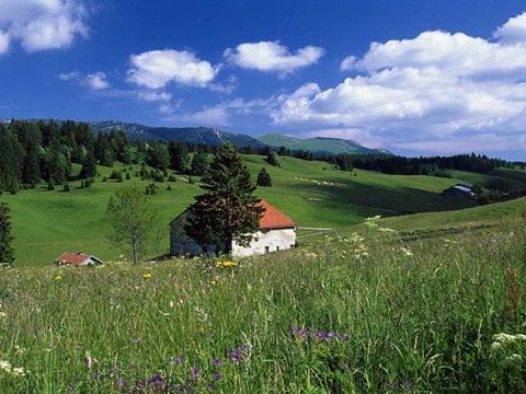 Camping de La Forêt - Camping Doubs - Image N°51