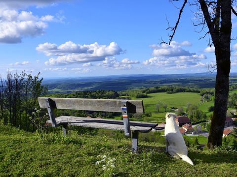 Camping de La Forêt - Camping Doubs - Image N°56