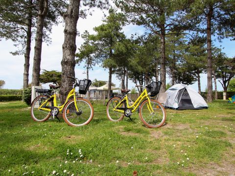 Camping de la Renaudière - Camping Loire-Atlantique - Image N°57