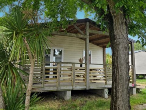 CHALET 4 personnes - Chalet Cocoon 4 personnes 2 chambres 24m²