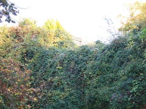 Camping La Vallee des Vignes - Camping Maine-et-Loire - Image N°17