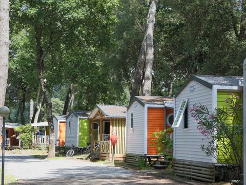 Camping Paradis - Les Rochelets  - Camping Loire-Atlantique - Image N°14