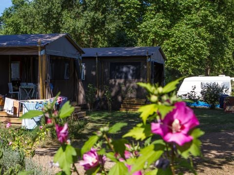 LODGE 4 personnes - Mobilodge 2 chambres - terrasse couverte