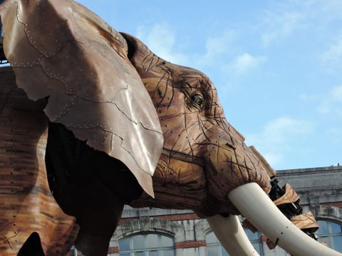 Camping du Bugeau - Camping Loire-Atlantique - Image N°16