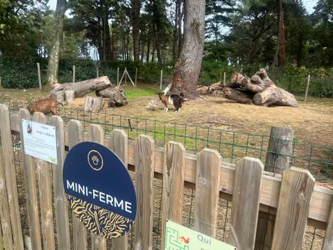 Camping Ushuaïa Villages L'estuaire - Camping Loire-Atlantique - Image N°13