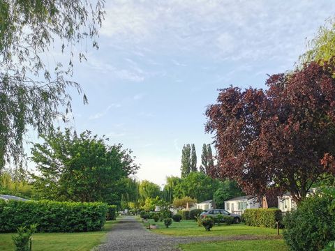 Camping Vallée de L'Indre - Camping Indre-et-Loire - Image N°7