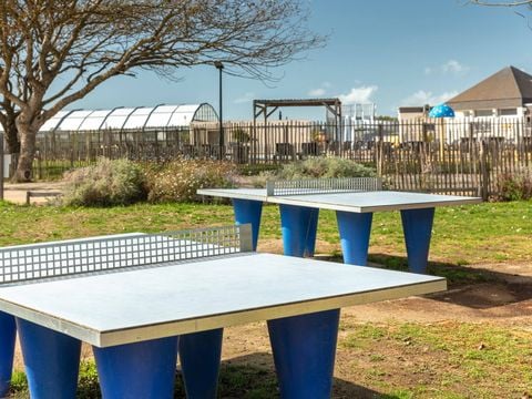Camping les Chardons Bleus de la Turballe - Camping Loire-Atlantique - Image N°12
