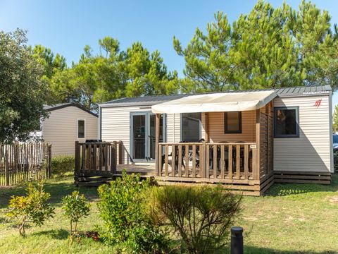 Camping les Chardons Bleus de la Turballe - Camping Loire-Atlantique - Image N°12