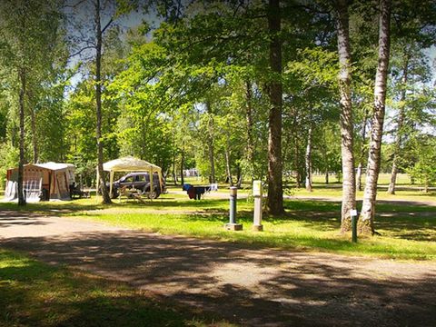  Le camping des Pins-Only Camp - Camping Cher - Image N°3