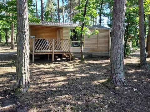  Le camping des Pins-Only Camp - Camping Cher - Image N°7