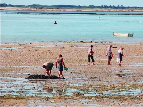 Camping La Falaise - Camping Loire-Atlantique - Image N°6