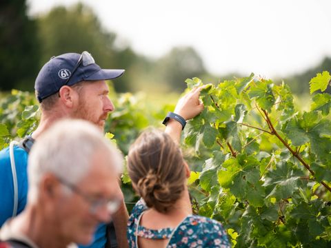 MOBILHOME 6 personnes - Cottage Confort 2 ch. - TV