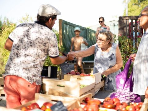 MOBILHOME 6 personnes - Cottage Confort 2 ch. - TV