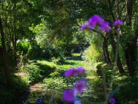 TENTE 5 personnes - Tente Insolite Nature Confort Lodge 2 ch - Sans sanitaires