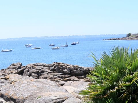 Camping Bontempo Village Piriac - Camping Loire-Atlantique - Image N°24