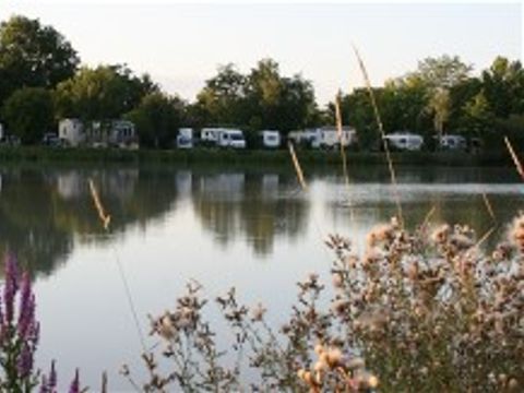 CAMPING de SOLOGNE - Camping Loir-et-Cher - Image N°16