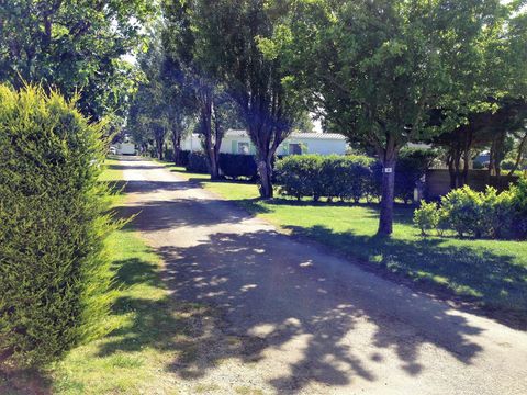 Camping du Goh'velin - Camping Morbihan - Image N°23
