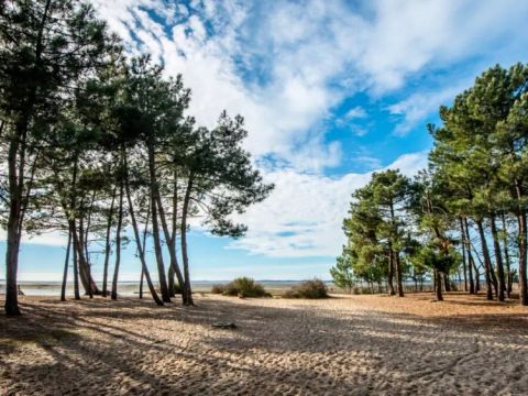 MOBILHOME 4 personnes - Confort 3 Pièces 4 Personnes + TV MOBILHOME 4 personnes - Confort 3 Pièces 4 Personnes + TV