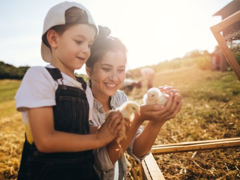 Camping du Menhir - Camping Morbihan - Image N°27