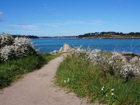 Camping du Menhir - Camping Morbihan - Image N°28