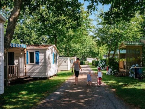 Flower Camping La Blanche Hermine - Camping Morbihan - Image N°7